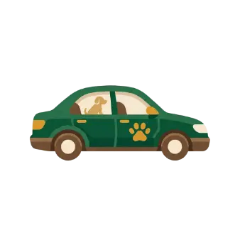 Icône représentant un taxi animalier à Silves.