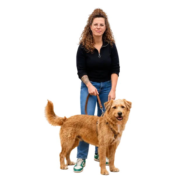 Pet sitter avec un chien pour illustrer une demande de disponibilité à Silves.