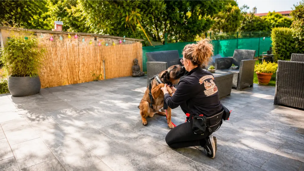 Éducation canine à Silves avec Amigos de Milou