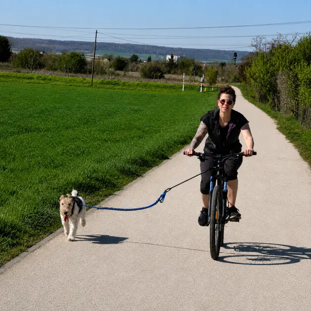 Chien actif accompagné en cani-VTT pour le pack sport Amigos de Milou